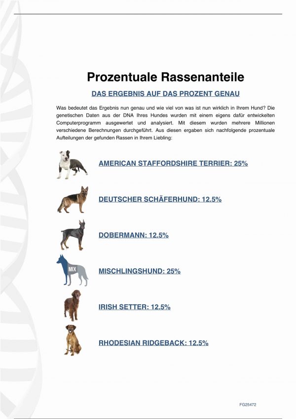 Hunderasse DNA Test – Bild 3