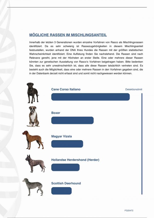 Hunderasse DNA Test – Bild 4