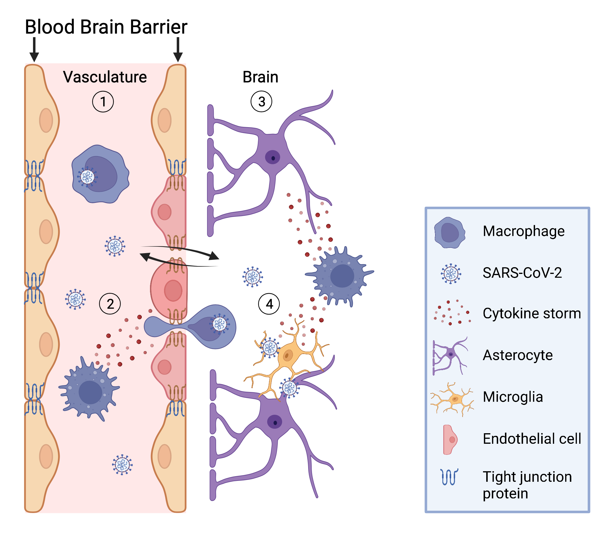 Virus in the Brain - Fürstenmahl